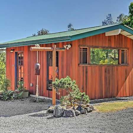 Cozy Volcano Studio With Phenomenal Rainforest Views Mountain View ภายนอก รูปภาพ