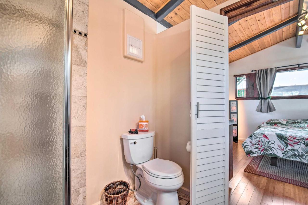 Cozy Volcano Studio With Phenomenal Rainforest Views Mountain View ภายนอก รูปภาพ