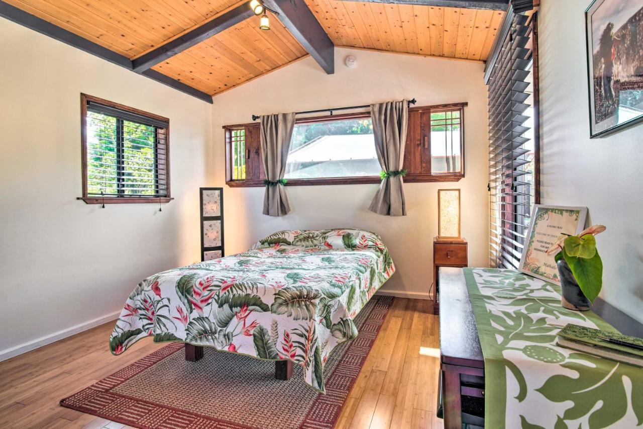 Cozy Volcano Studio With Phenomenal Rainforest Views Mountain View ภายนอก รูปภาพ